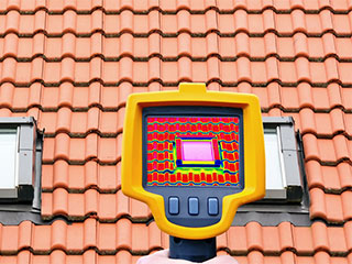 Reasons For Crawl Space Cleaning | Crawl Space Cleaning San Francisco, CA Reasons For Crawl Space Cleaning | Crawl Space Cleaning San Francisco, CA
